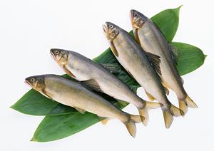 歌舞伎町にあるホストクラブグループ