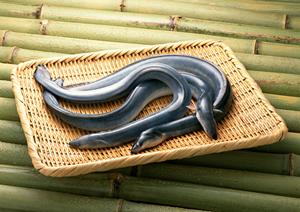 エンターテイメント集団のホストクラブ