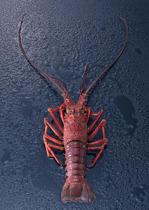 自由業務でノルマがなく気楽に稼げます