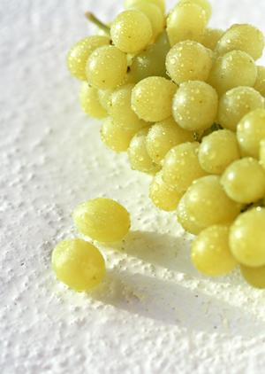 ホストクラブでオリジナルシャンパン